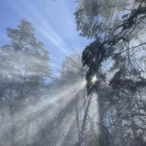 关之琳被扒开腿狂躁
